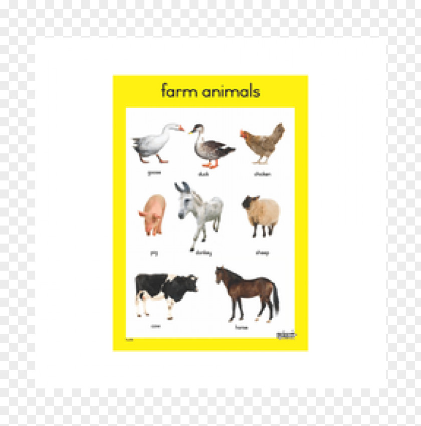 Pet Animal Farm SparkNotes Chart PNG