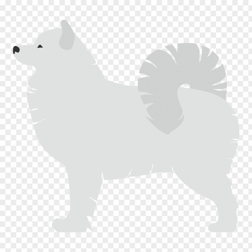 Puppy Samoyed Dog Finnish Spitz Breed Snout PNG