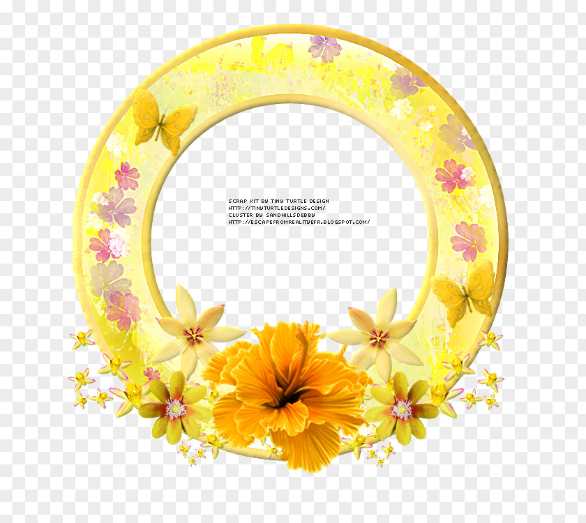 Design Floral Picture Frames PNG