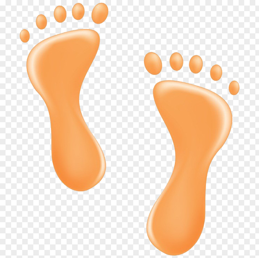 Download Footprints Foot Euclidean Vector PNG