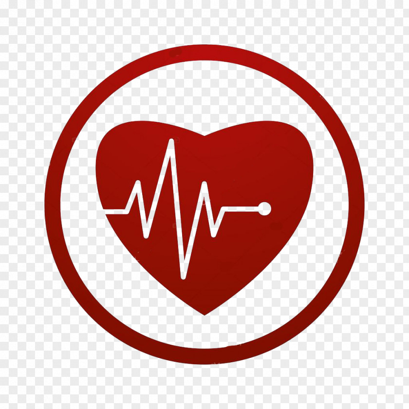 Heart Cardiology Vector Graphics Symbol PNG