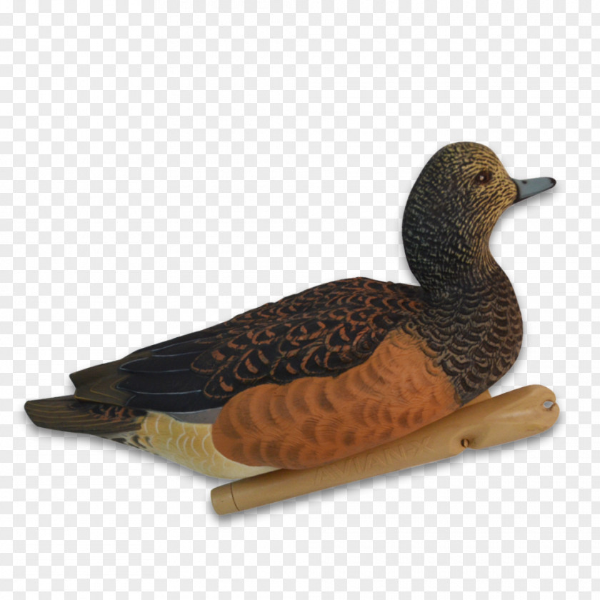 New Autumn Products Mallard Duck Eurasian Wigeon Hunting Goose PNG