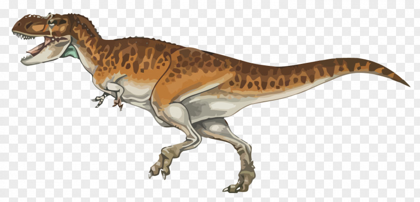 Vector Dinosaurs Tyrannosaurus Tyrannotitan Velociraptor Dinosaur PNG