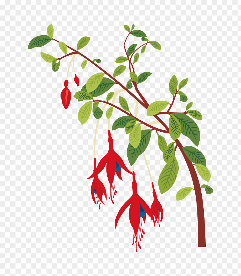 Vector Red Floral Decorative Greenery Flower Plant PNG