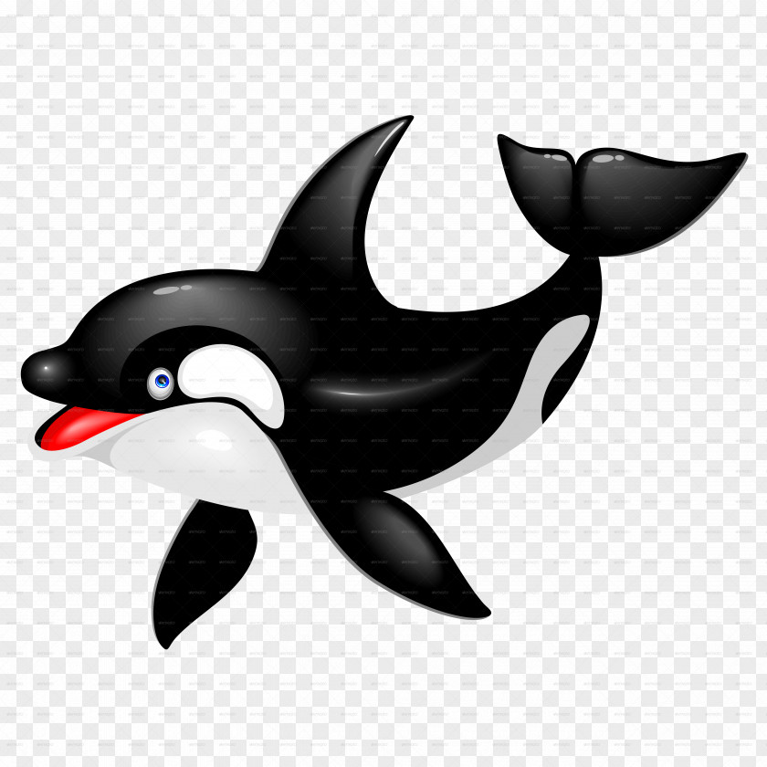 Whale Killer Dolphin Drawing Cetacea PNG