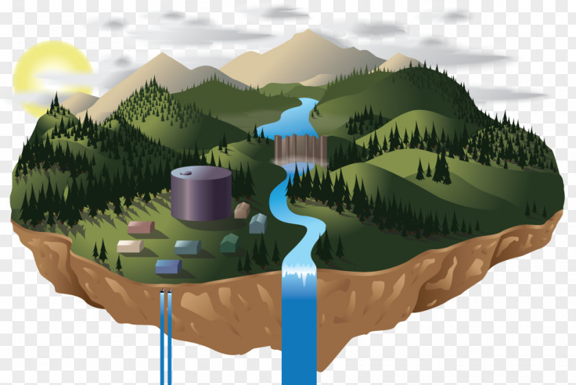Bni Illustration Water Resources Product Design Biome Tree PNG