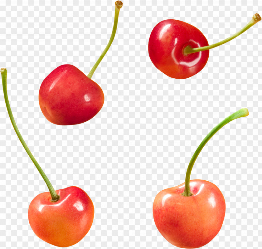 Cherry Barbados Food Fruit Clip Art PNG