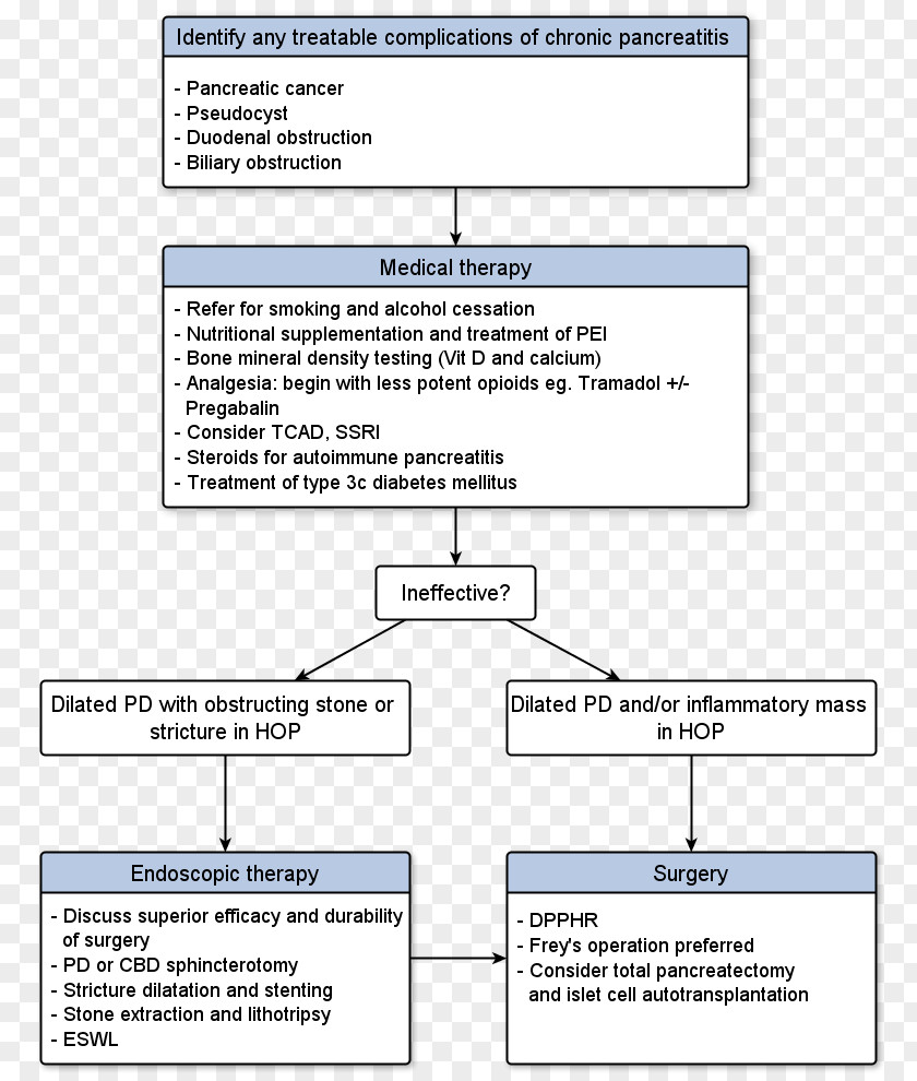 Cp System Chronic Pancreatitis Pancreas Divisum Pancrelipase Pancreatic Cancer PNG