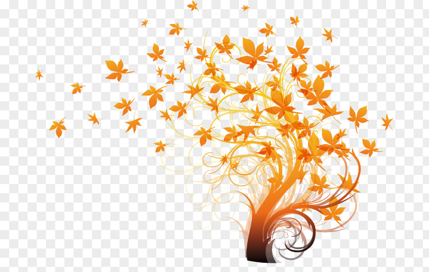 Creative Autumn Plant Vector Material Leaf Color Tree Illustration PNG
