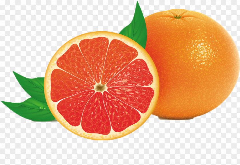 Fresh Lemon Juice Grapefruit Royalty-free Clip Art PNG
