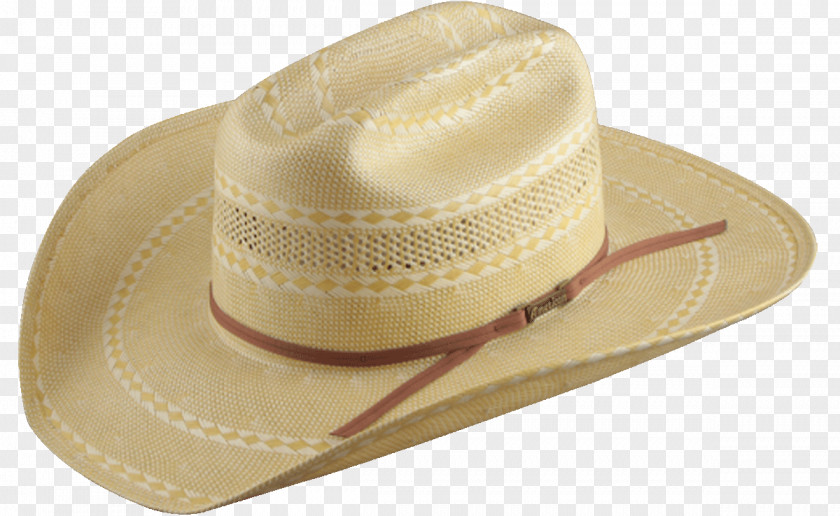 Hat Straw Color American Company PNG