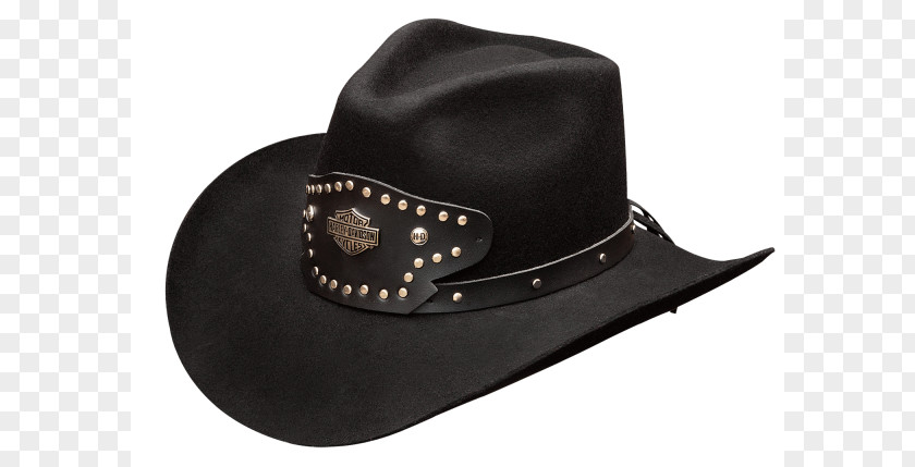 Hathd Cowboy Hat Cap Harley-Davidson Wool PNG