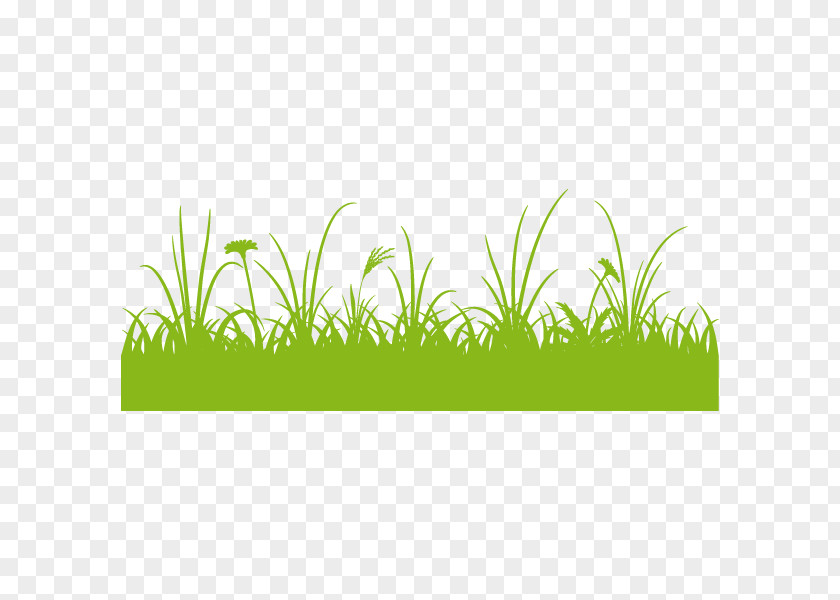 Illustration Graphics Clip Art Grass Illustrator PNG