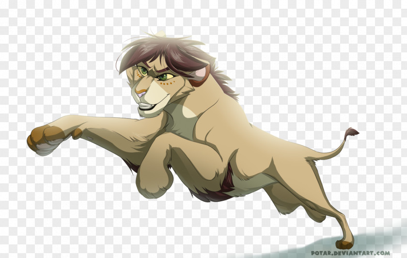 Lion Cat Mammal Horse Pet PNG