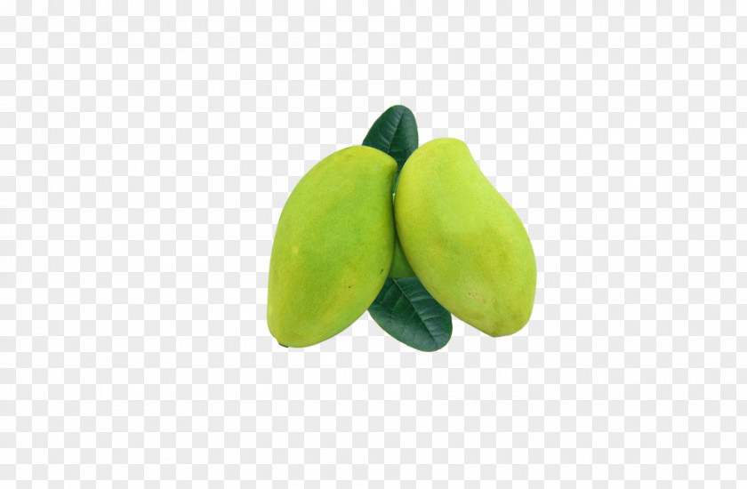 Mango Fruit PNG