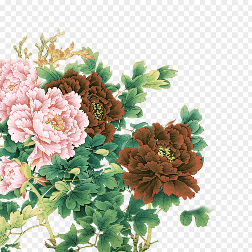 Peony China Chinese New Year Moutan PNG