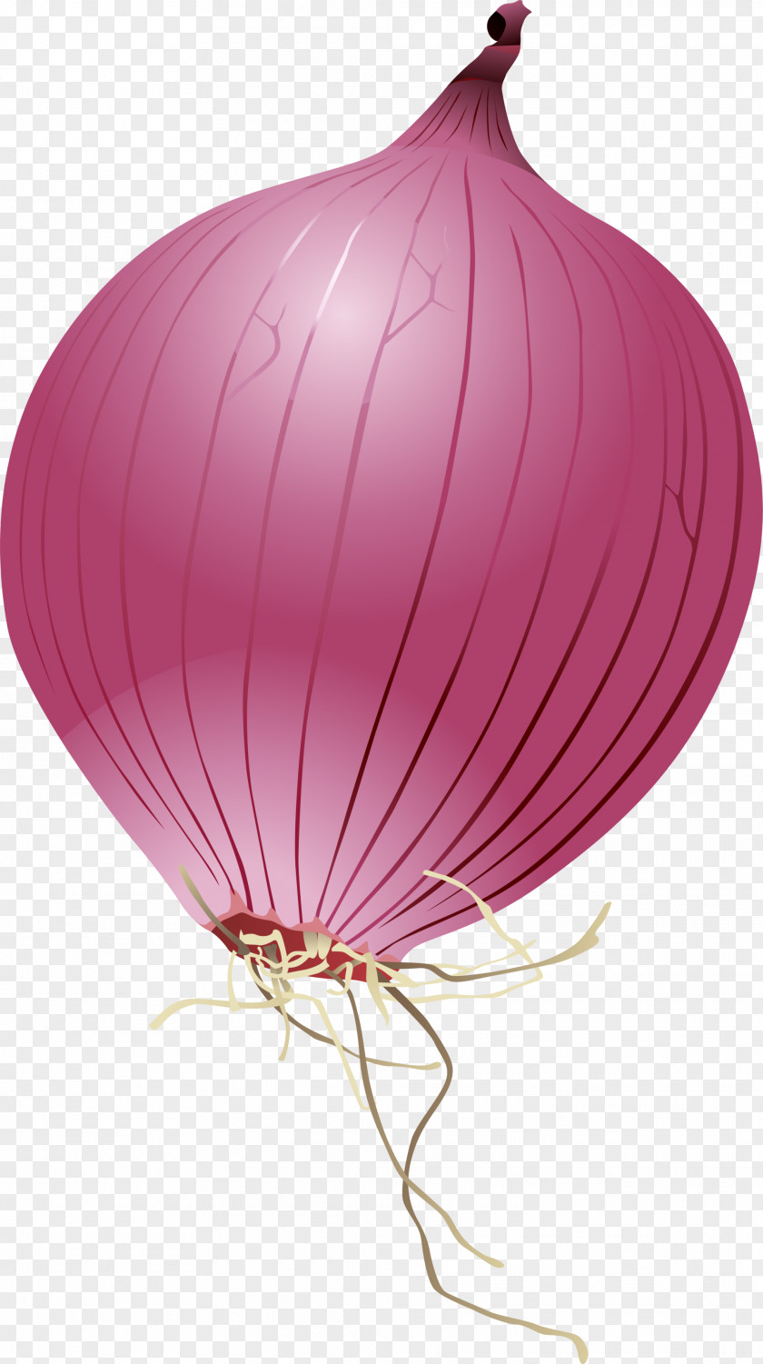 Purple Cartoon Onion PNG