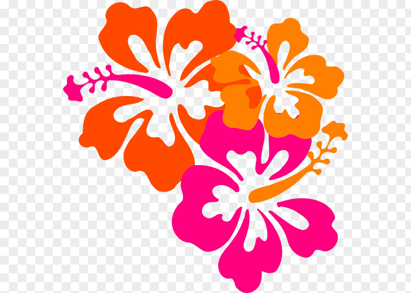 Flower Hawaii Rosemallows Clip Art PNG