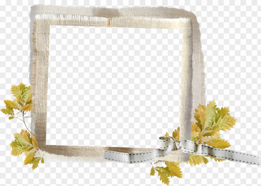 Gray Frame Picture Frames Oak Clip Art PNG