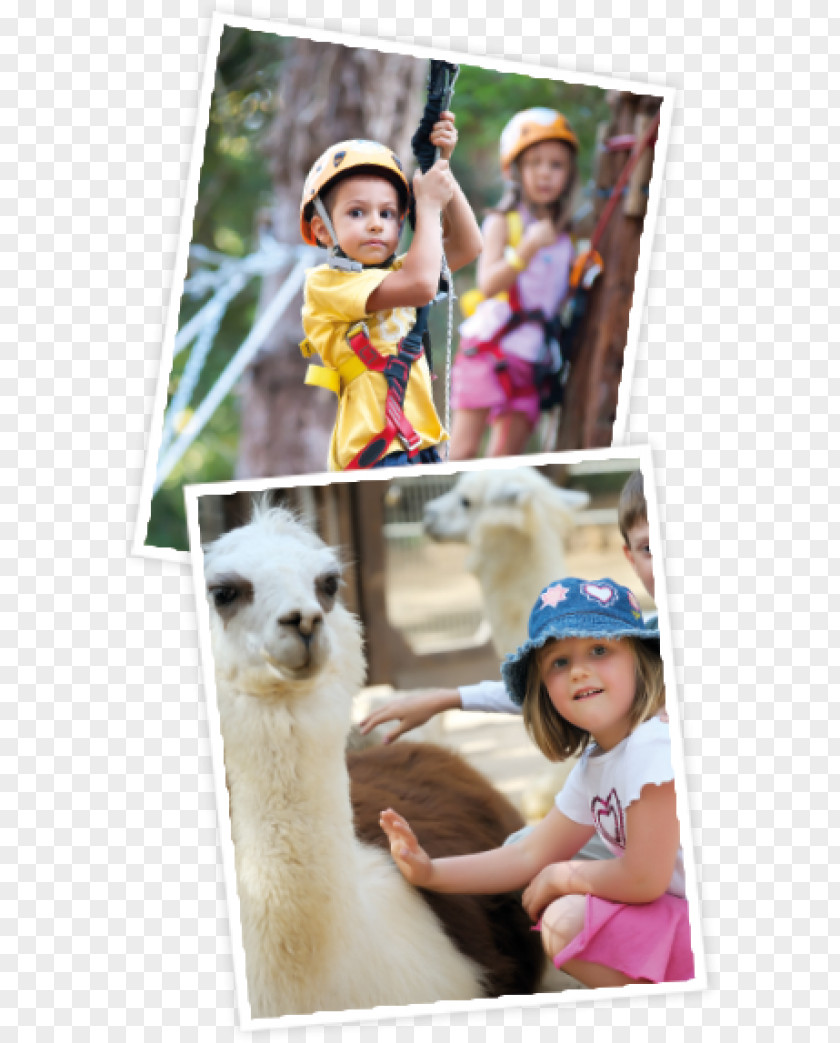 Vacation Toddler Picture Frames Leisure Collage PNG
