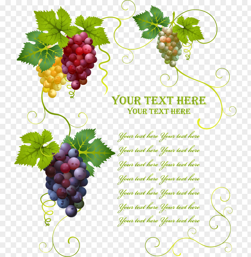 Vector Three-dimensional Decorative Grape Wine Common Vine Leaves PNG