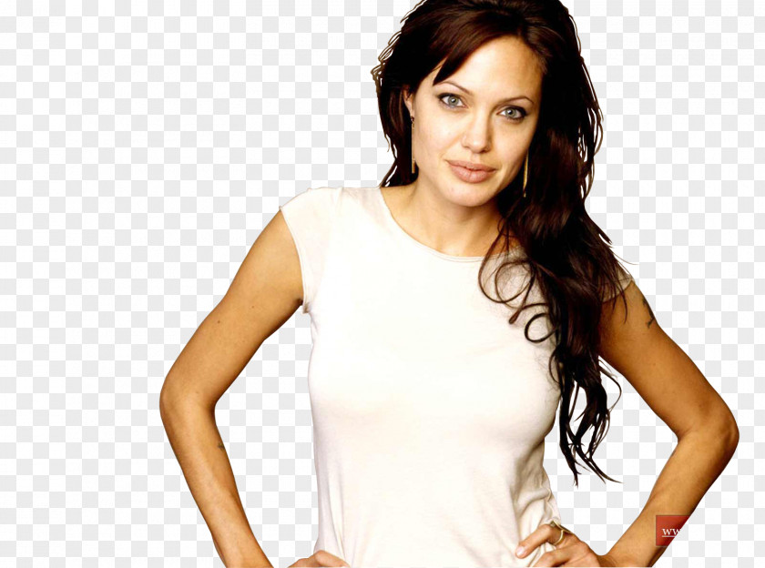 Angelina Jolie Lara Croft: Tomb Raider Desktop Wallpaper Actor PNG