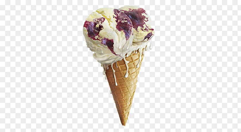 Blueberry Ice Cream Cone Chocolate Sundae PNG