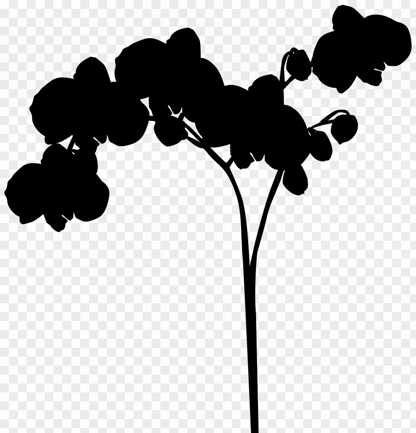 Clip Art Leaf Silhouette Plant Stem Flowering PNG