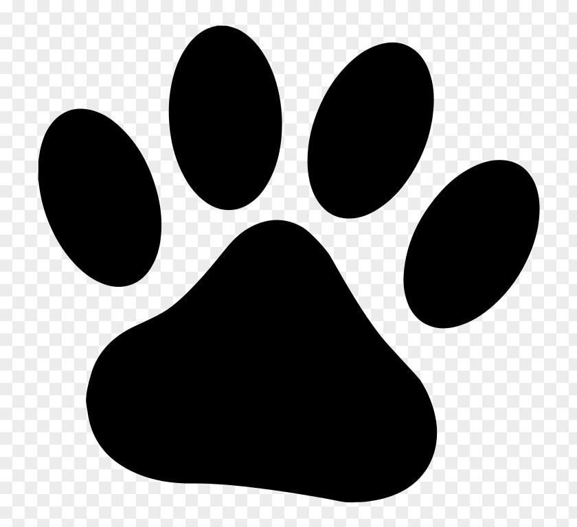 Paw Dog Drawing Cat Clip Art PNG