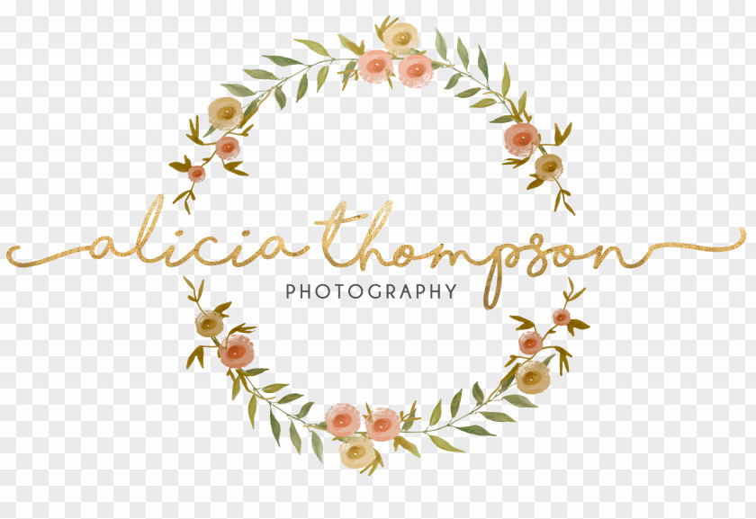 Photographer Carly Seaman Photography Child PNG