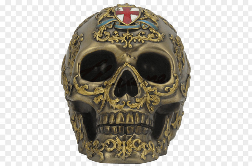 Skull Human Skeleton Anatomy Bronze Sculpture PNG