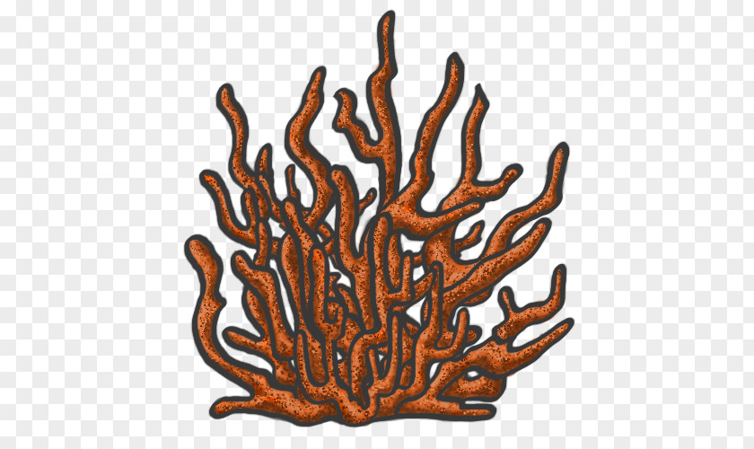 Tree Invertebrate Font PNG