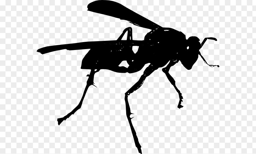 Bee Hornet Wasp Clip Art PNG