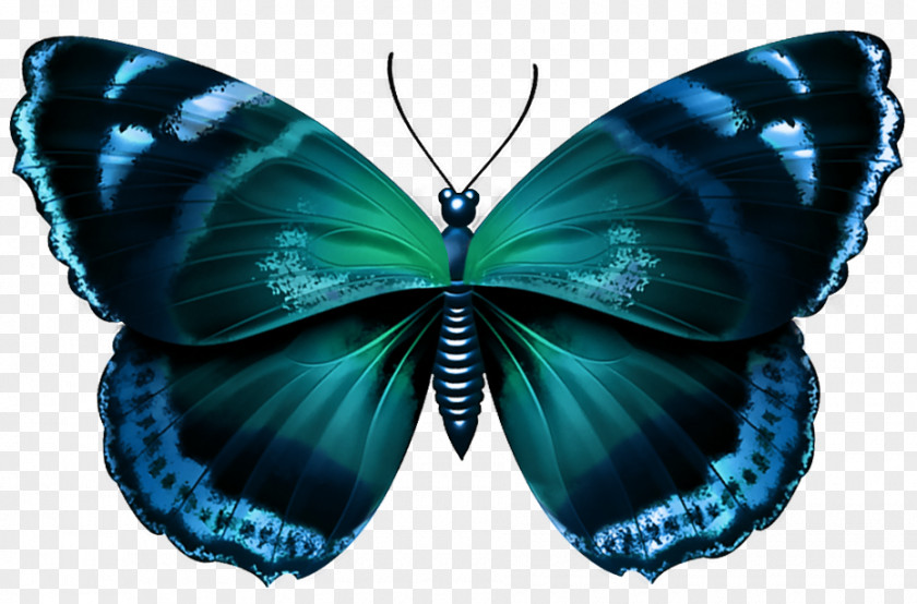 Blue Butterfly Desktop Wallpaper Purple Clip Art PNG