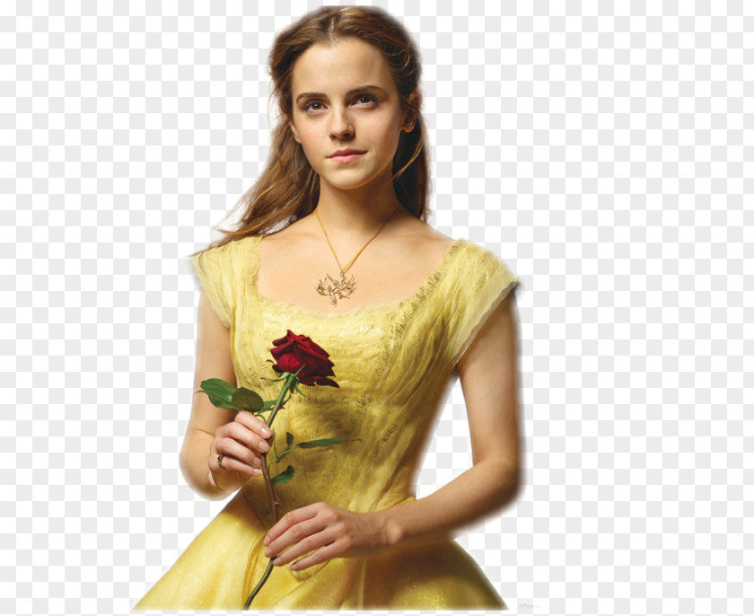 Emma Watson Beauty And The Beast Belle Drawing PNG
