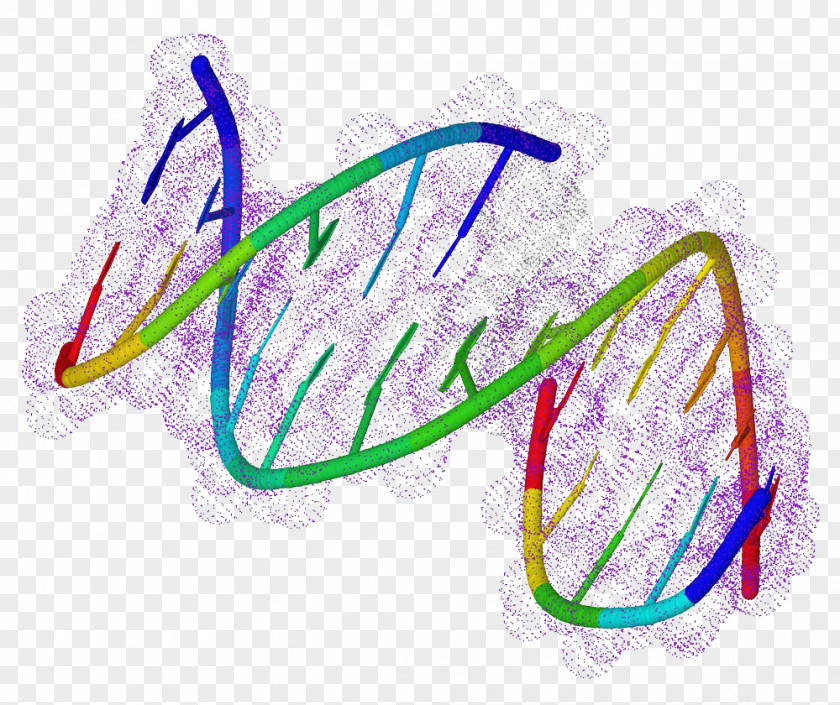 Gene Free Downloads Biology DNA Chemistry Molecule Genetics PNG