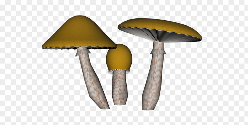 Hand-painted Mushrooms Common Fungus Amanita Muscaria Rendering PNG