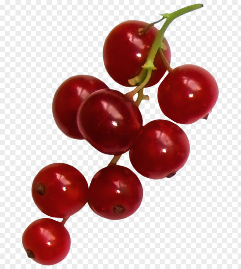 Strawberry Gooseberry Zante Currant Lingonberry Cranberry PNG