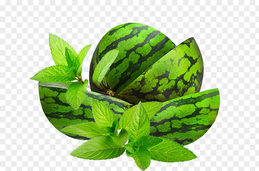 Watermelon Fruit Leaf Auglis Vegetable PNG