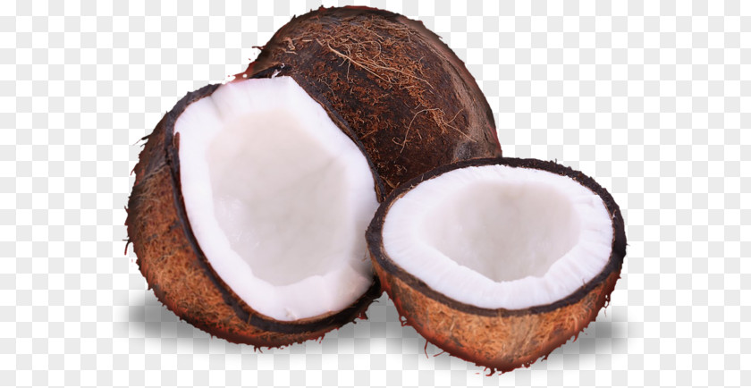 White Coconut Copra Sign Water Milk Crumble Oil PNG