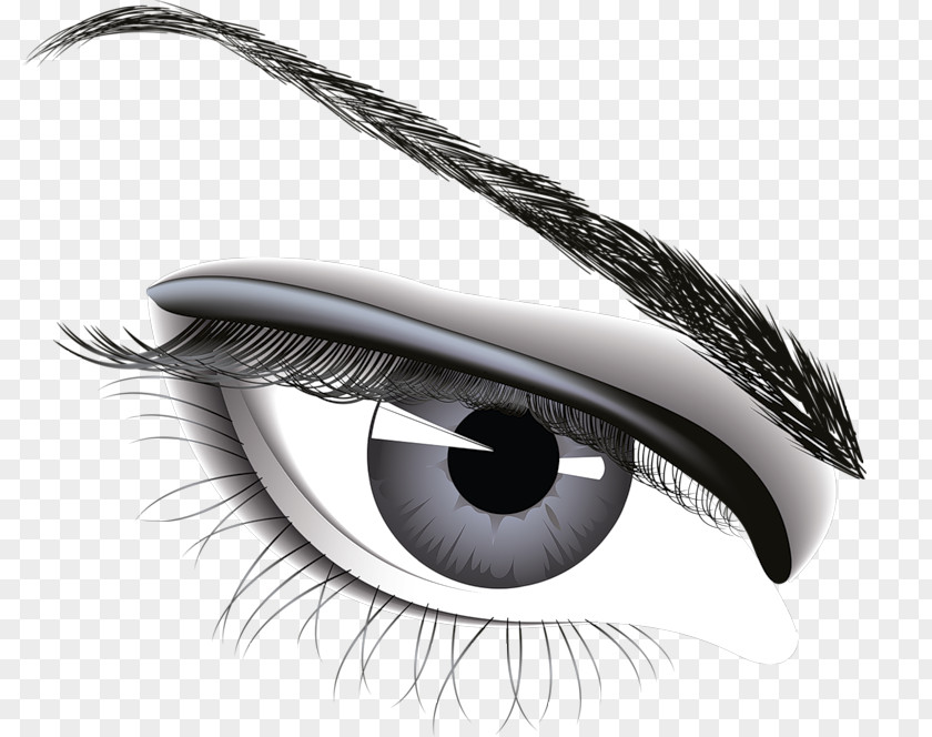 Eye Eyebrow Clip Art PNG