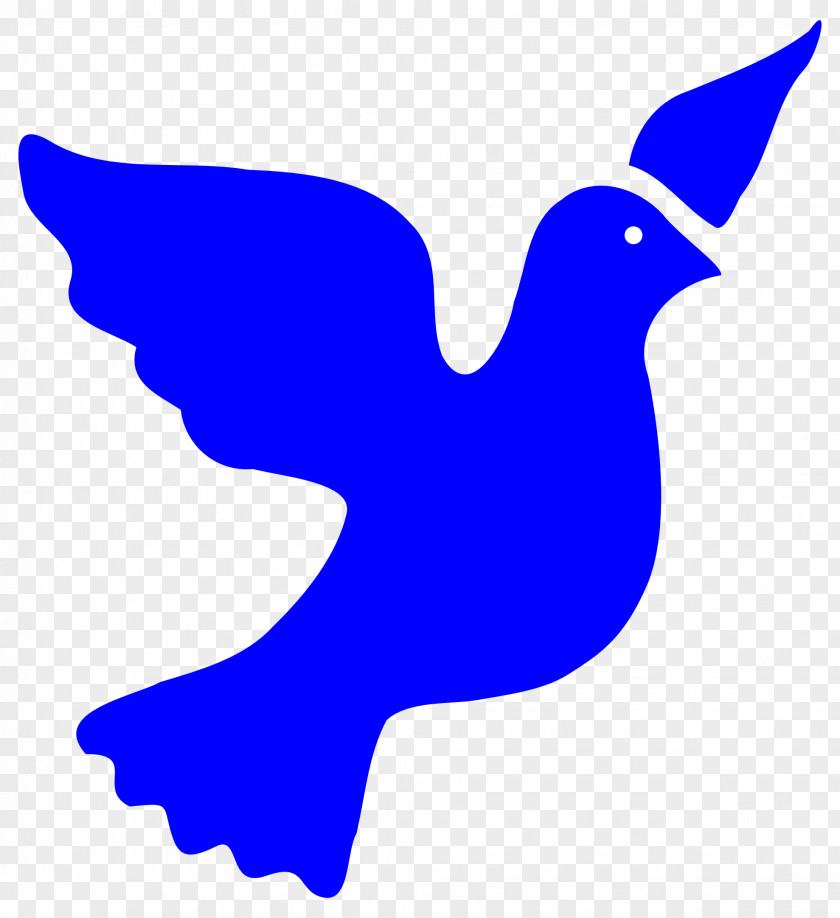 Free Dove Clipart Columbidae Art Bird PNG