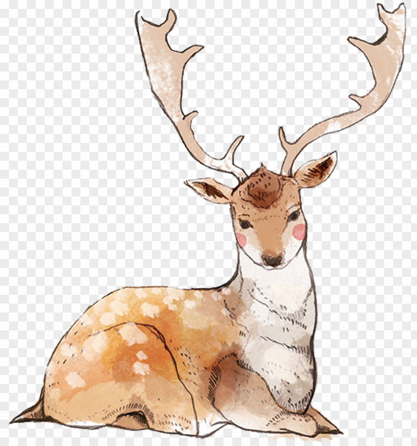 Hand Painted Giraffe Reindeer Watercolor Painting PNG