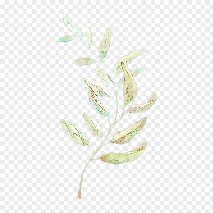 Plant Stem Twig Watercolor Flower Background PNG
