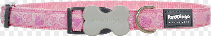 Red Collar Dog Dingo Pet PNG