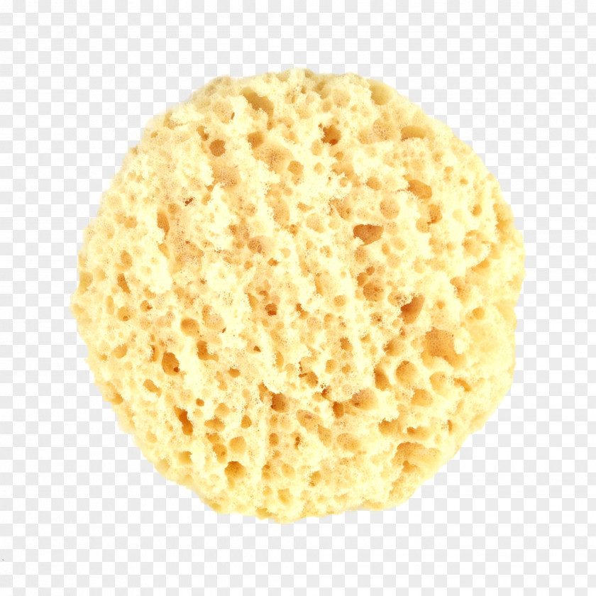 Sponge Knockdown Texture Drywall Popcorn Ceiling PNG