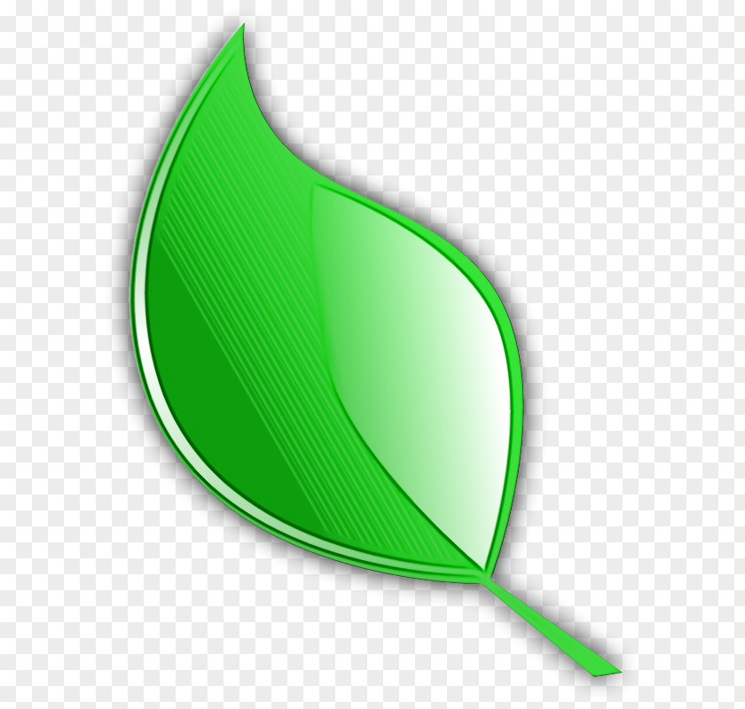 Symbol Plant Leaf Green Logo Clip Art PNG