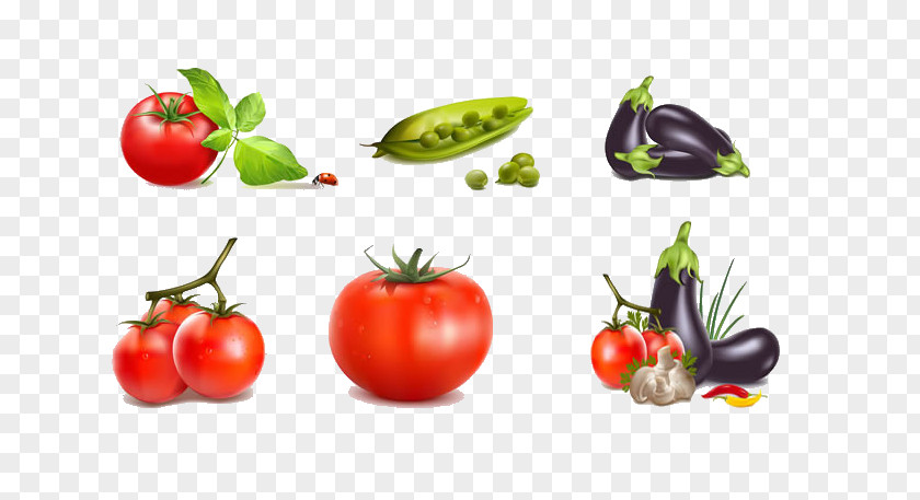 Tomato And Eggplant Chili Con Carne Vegetable Icon PNG