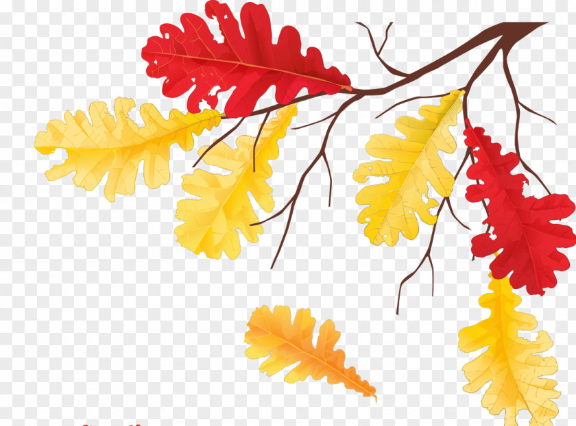 Autumn Leaves Leaf Equinox Clip Art PNG