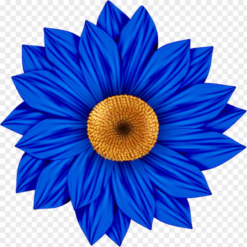 Daisy Common Sunflower Desktop Wallpaper Clip Art PNG